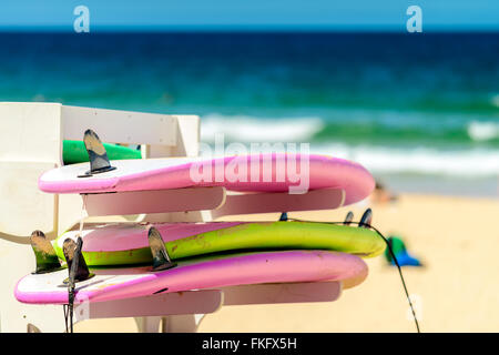 Schede di navigazione posto sulla cremagliera in una riga a Manly Beach, Australia Foto Stock