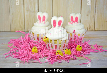 Coniglietto di Pasqua le orecchie in cupcake glassa con pulcini giallo in rosa erba. Foto Stock