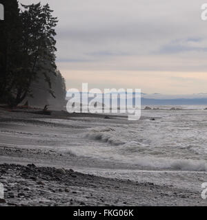 Sombrio Beach, l'isola di Vancouver, British Columbia Foto Stock