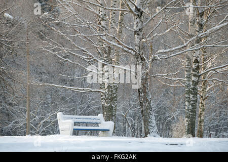 Panche coperte di neve in inverno park Foto Stock