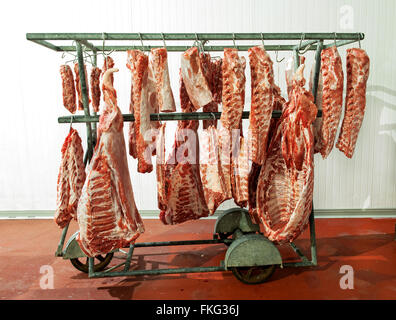 Più pezzi di grande, appena macellata carne cruda lombi su ganci acuti portati da appendiabiti con ruote carrello in camera refrigerata Foto Stock