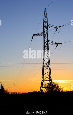 Elettricità tralicci, linee di alimentazione e i contorni di alberi e cespugli contro un cielo al tramonto Foto Stock