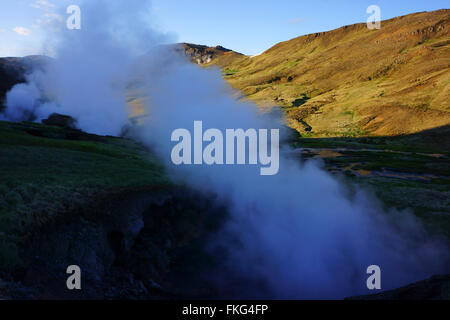 Primavera calda e fumante, Hengill montagne, Hveragerdi, SW Islanda Foto Stock