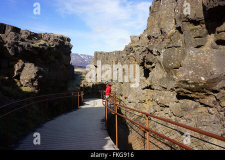 Canyon al Pingevellir, Islanda Foto Stock