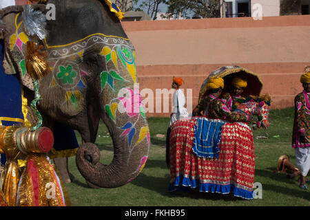 Durante il festival di elefante durante holi,celebrazione indù in Jaipur Rajasthan,l'India,l'Asia. Foto Stock