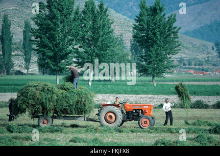 Fienagione Scena, raccolto o scena agricola nella regione del Mar Egeo della Turchia Foto Stock