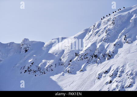 Gli alpinisti in salita con ramponi sui Monti Fagaras ridge, gamma dei Carpazi, in Romania Foto Stock