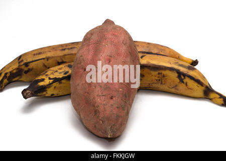 Due le banane da cuocere e una patata dolce su sfondo bianco Foto Stock