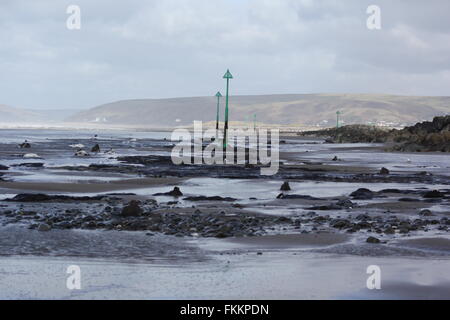 Borth, Ceredigion, Galles. 9 Marzo, 2016. Regno Unito: Meteo foresta pietrificata viene visualizzata di nuovo dopo le recenti tempeste e sabbie mobili di rivelare centinaia di ceppi di alberi risalenti all'età del bronzo 6.000 anni fa. i monconi che sorge fuori della sabbia come denti rotti ! Credito: mike davies/Alamy Live News Foto Stock