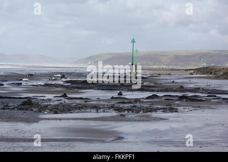 Borth, Ceredigion, Galles. 9 Marzo, 2016. Regno Unito: Meteo foresta pietrificata viene visualizzata di nuovo dopo le recenti tempeste e sabbie mobili di rivelare centinaia di ceppi di alberi risalenti all'età del bronzo 6.000 anni fa. i monconi che sorge fuori della sabbia come denti rotti ! Credito: mike davies/Alamy Live News Foto Stock