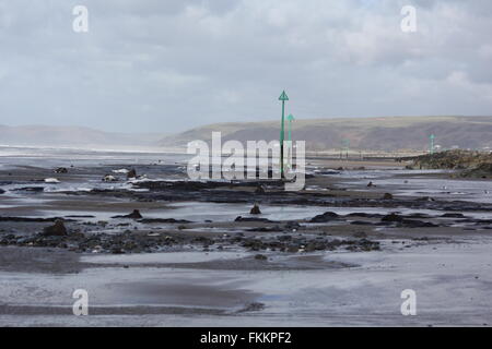 Borth, Ceredigion, Galles. 9 Marzo, 2016. Regno Unito: Meteo foresta pietrificata viene visualizzata di nuovo dopo le recenti tempeste e sabbie mobili di rivelare centinaia di ceppi di alberi risalenti all'età del bronzo 6.000 anni fa. i monconi che sorge fuori della sabbia come denti rotti ! Credito: mike davies/Alamy Live News Foto Stock