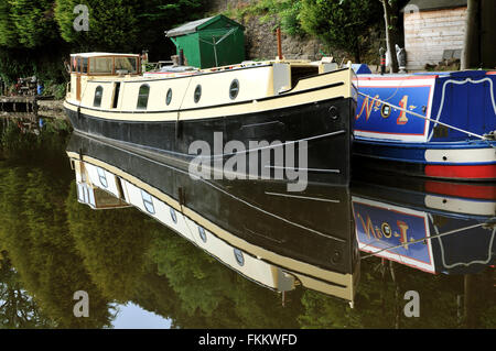 Barca stretta sulla Rochdale Canal, Hebden Bridge, nello Yorkshire, Regno Unito Foto Stock