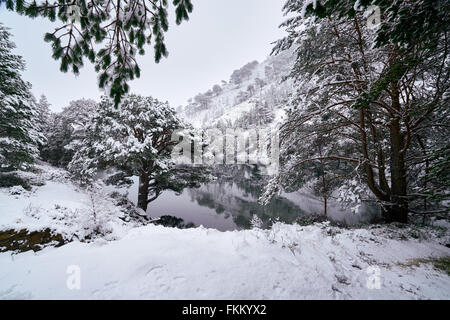 Un freddo snowy Loch Uaine, Glenmore Forest, Cairngorms nelle Highlands scozzesi, UK. Foto Stock