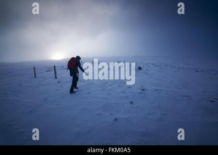 Un escursionista e il loro cane avvicinarsi al vertice di Cairn Gorm come il sole combatte attraverso il cloud, Highlands scozzesi, UK. Foto Stock