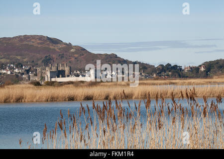 Conwy Castello medievale Gwynedd Galles del Nord Regno Unito Foto Stock