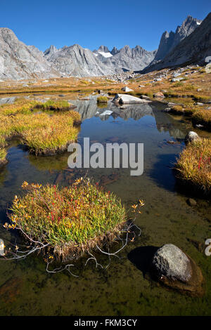 WY01246-00...WYOMING - Piccolo tarn in Titcomb Bacino del fiume del vento nella gamma Bridger Wilderness Area. Foto Stock