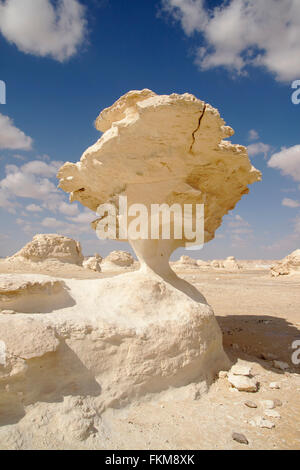 Fungo rock formazione nel Deserto Bianco, Egitto Foto Stock