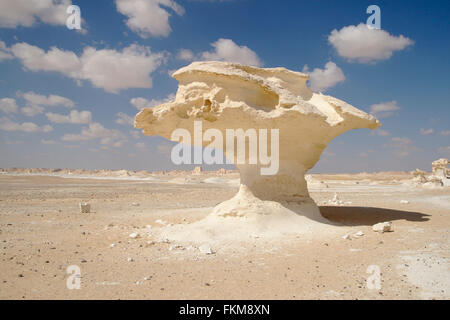 Fungo rock formazione nel Deserto Bianco, Egitto Foto Stock