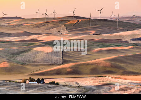 Le turbine eoliche sopra le colline della Palouse frumento crescente regione dello Stato di Washington Stati Uniti d'America al tramonto Foto Stock