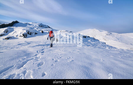 Gli escursionisti a piedi il loro cane lungo Hartsop sopra come che conduce verso la rupe di Hart & Fairfield. Lake District inglese. Foto Stock