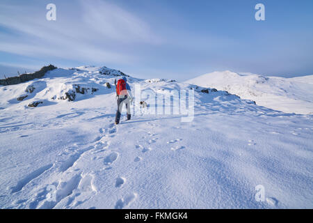 Gli escursionisti a piedi il loro cane lungo Hartsop sopra come che conduce verso la rupe di Hart & Fairfield. Lake District inglese. Foto Stock