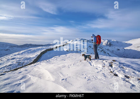 Gli escursionisti a piedi il loro cane lungo Hartsop sopra Come sopra la vasca di tintura di Deepdale che conduce verso la rupe di Hart. Lake District inglese. Foto Stock