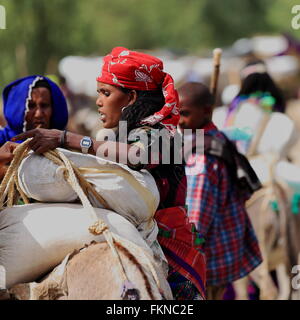 SENBETE, ETIOPIA-marzo 24: Donna carichi i suoi acquisti su un dromedario-lasciando il mercato della domenica dove la oromo-amhara-lontano si incontrano. Foto Stock