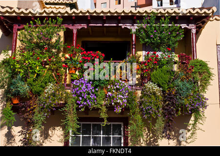 Balconi con fiori sull'Isola Canarie palm Foto Stock