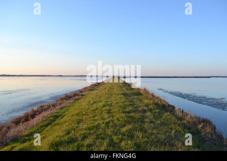 Twilight riflessione sull acqua, saltern riserva naturale, Cervia, Ravenna, Italia Foto Stock