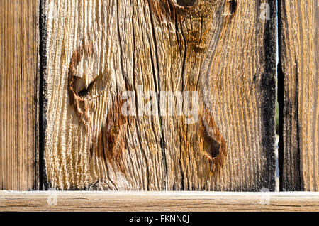 Close up weathered vecchio recinto in legno doga. Coarse grana di legno visibile, alcuni nodi. recinto in legno listone, weathered. Foto Stock