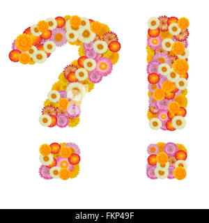 Alfabeto di paglia domanda di fiori e un punto esclamativo Foto Stock