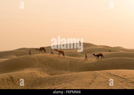 Camel ragazzo traversata nel deserto del Thar durante il tramonto. Deserto di Thar situato a Jaisalmer, Rajastan Foto Stock