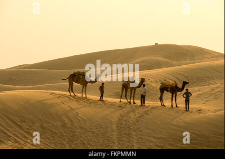 Camel ragazzo traversata nel deserto del Thar durante il tramonto. Deserto di Thar situato a Jaisalmer, Rajastan Foto Stock