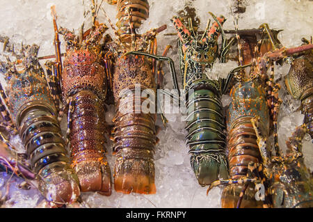Aragosta fresca disposizione di frutti di mare visualizzato nel mercato, Thailandia Foto Stock
