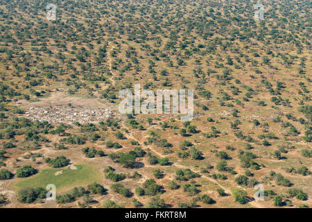 Vista aerea del bestiame Dinka camp vicino Mingkaman, Sud Sudan. Foto Stock