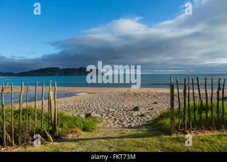 Staccionata in legno sulla spiaggia remota Foto Stock