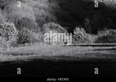 Cancello in legno nel campo Foto Stock