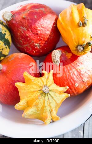 Vari squash verdura nel piatto Foto Stock