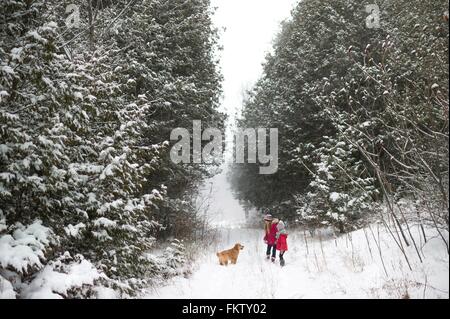 Sorelle di esplorare la foresta innevata con il cane Foto Stock