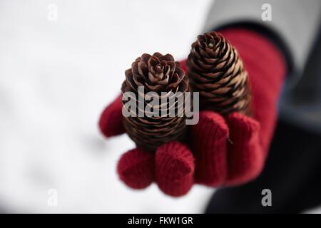 Close up femmina rosso mano guantata tenendo due pigne nelle quali in inverno Foto Stock