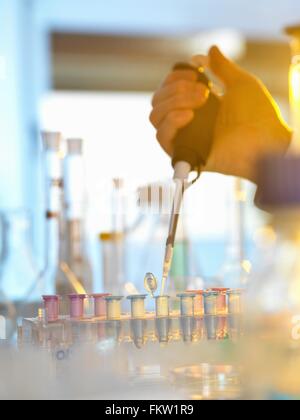 Scienziato il pipettaggio di campione nella fiala eppendorf durante l'esperimento in laboratorio Foto Stock