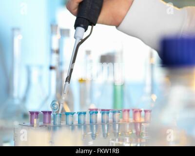 Scienziato il pipettaggio di campione nella fiala eppendorf durante l'esperimento in laboratorio Foto Stock