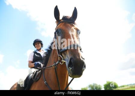 Basso angolo di visione della donna matura a cavallo guardando la fotocamera Foto Stock