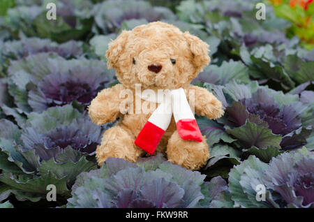 Orsacchiotto di peluche in Flower Garden Foto Stock