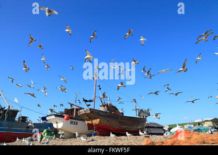 Un gregge di gabbiani sorvola le barche da pesca sulla spiaggia dei pescatori di Hastings Stade, East Sussex, Inghilterra, Regno Unito Foto Stock