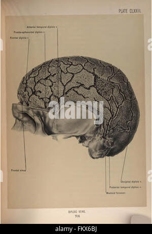 Anatomia chirurgica della testa e del collo da Deaver, John B. (John Blair), 1855-1931 Foto Stock