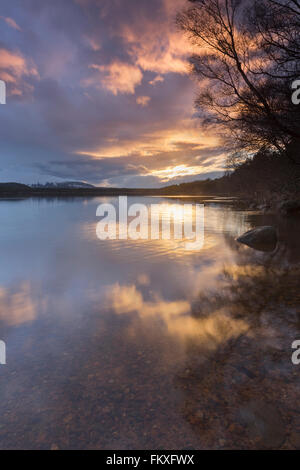 Tramonto sul Loch Morlich, Glenmore, Scozia, marzo 2016. Foto Stock