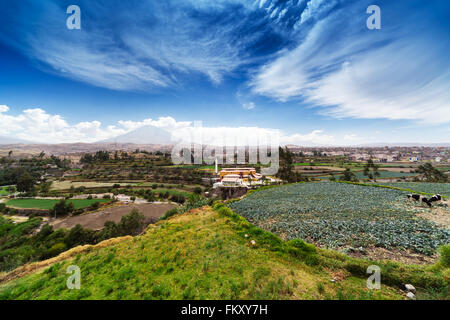 Vacche, vulcano e la città vecchia Foto Stock