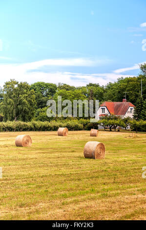 Una tipica vista sulla campagna svedese di terreni agricoli nella regione di Skane del paese. Foto Stock