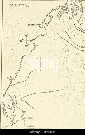 Una caratterizzazione ecologica delle zone costiere Maine (a nord e a est di Cape Elizabeth) (1980) Foto Stock